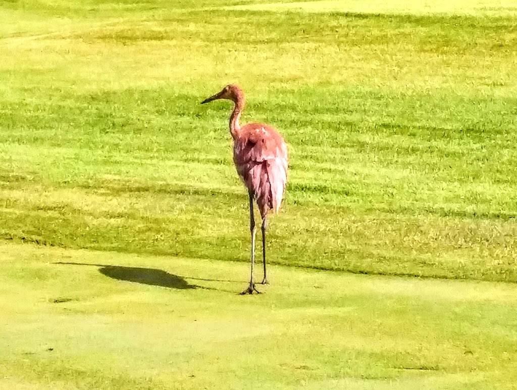 Heathers Club of Bloomfield | restaurant | 900 Upper Scotsborough Way, Bloomfield Hills, MI 48304, USA | 2483349770 OR +1 248-334-9770