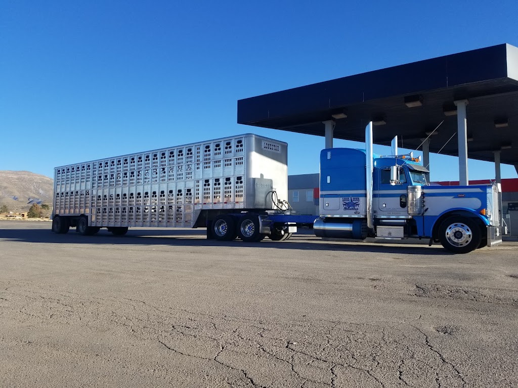 Kent Kwik | restaurant | 3500 N White Sands Blvd, Alamogordo, NM 88310, USA | 5754370000 OR +1 575-437-0000