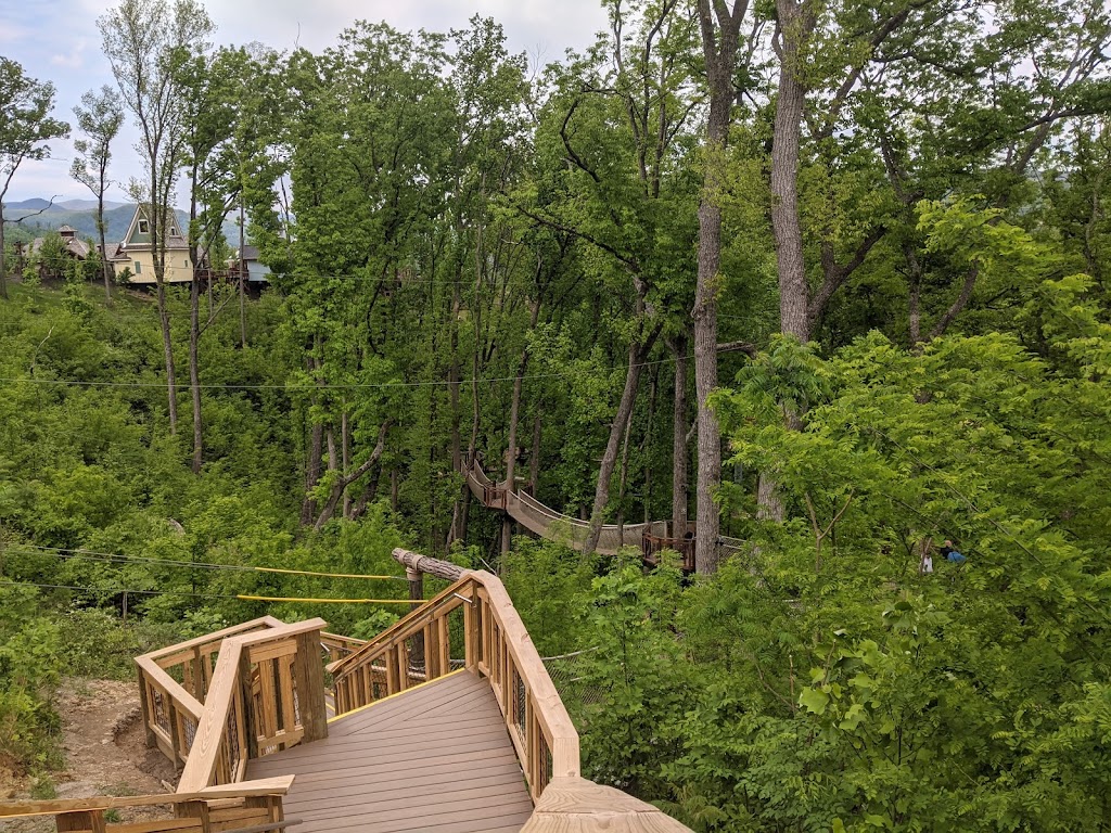 Anakeesta | restaurant | 576 Parkway, Gatlinburg, TN 37738, USA | 8653252400 OR +1 865-325-2400