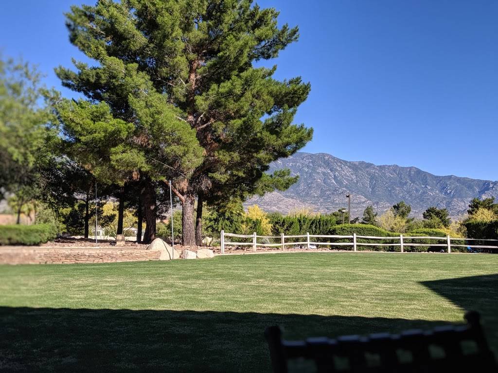 MountainView Country Club at SaddleBrooke Two | restaurant | 38759 S Mountain View Blvd, Tucson, AZ 85739, USA | 5208181000 OR +1 520-818-1000