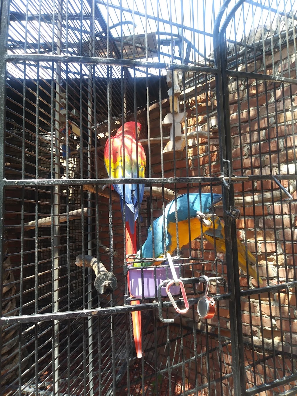 I love Laguna Tours & Events | night club | 550 S Coast Hwy #1, Laguna Beach, CA 92651, USA | 6266891847 OR +1 626-689-1847