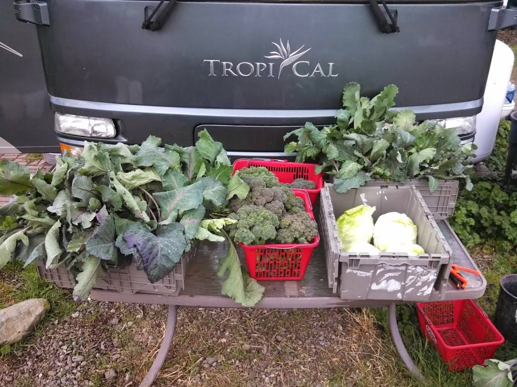 Lockewood Acres | restaurant | 7781 Locke Rd, Vacaville, CA 95688, USA | 7076240831 OR +1 707-624-0831