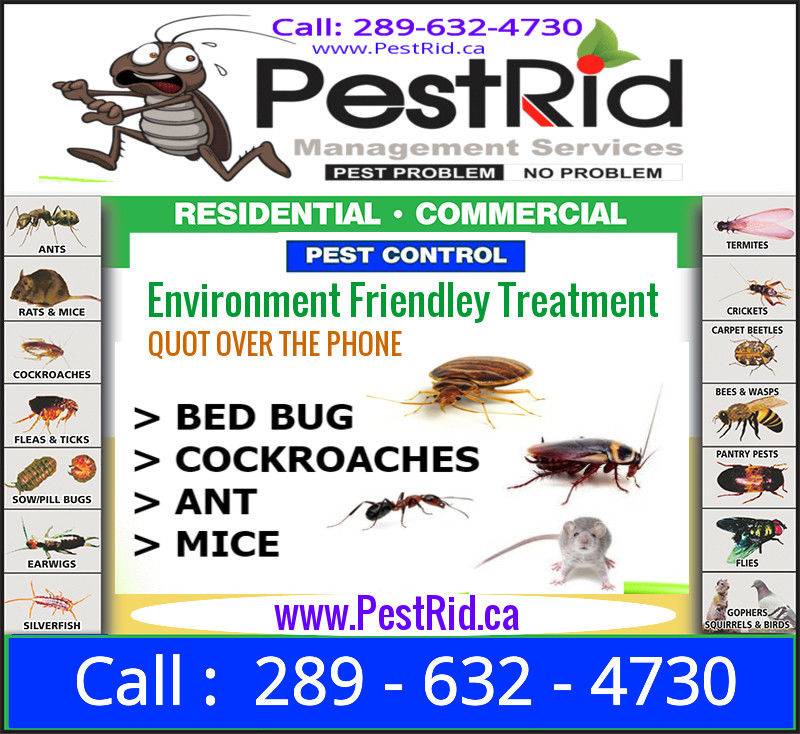 PestRid Pest Control Services | restaurant | 16 Madison St, Brampton, ON L6S 3C5, Canada | 2898003355 OR +1 289-800-3355