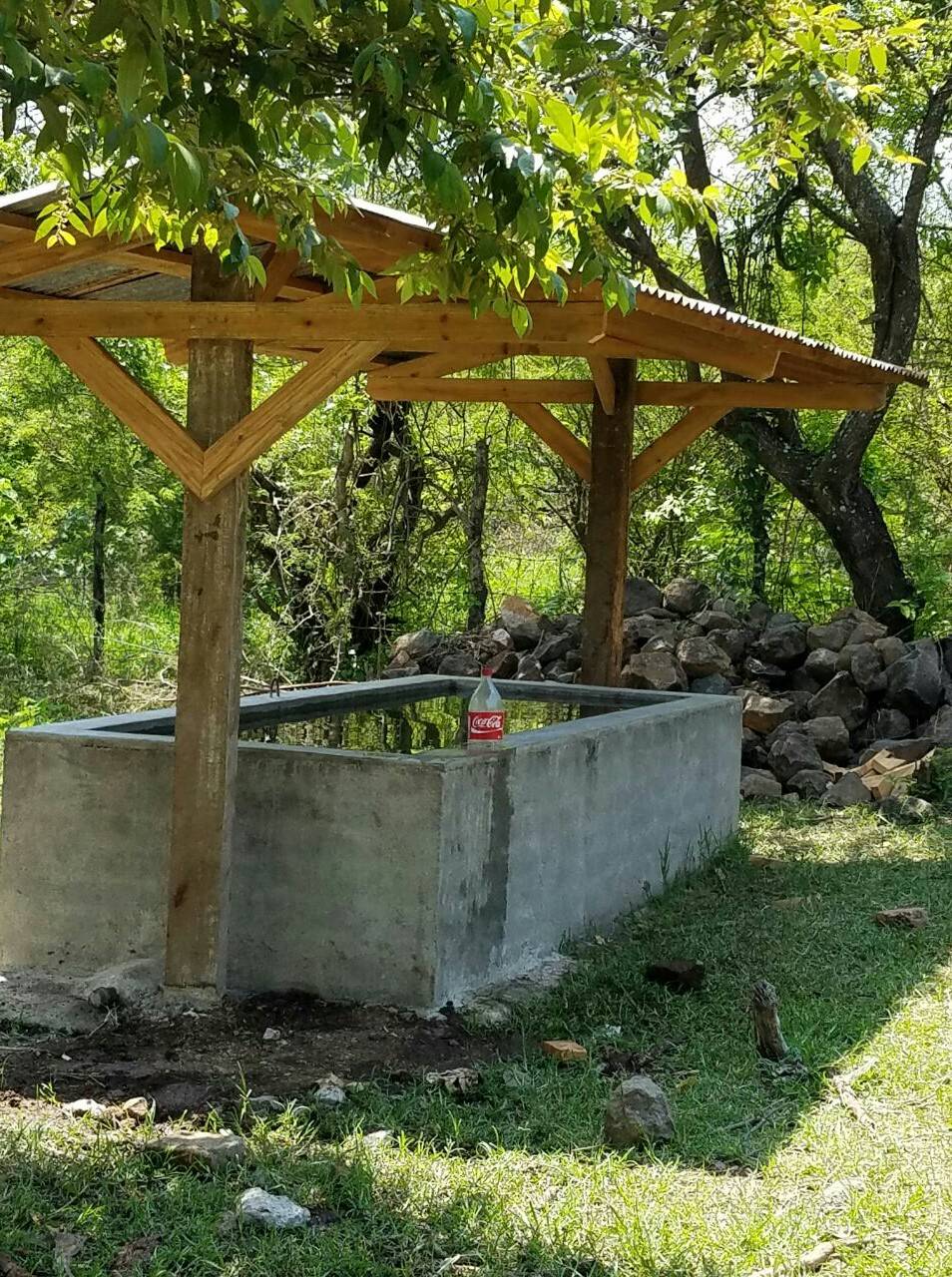 Bayonne BBQ & Wings | restaurant | 523 John F. Kennedy Blvd, Bayonne, NJ 07002, USA | 2013393434 OR +1 201-339-3434