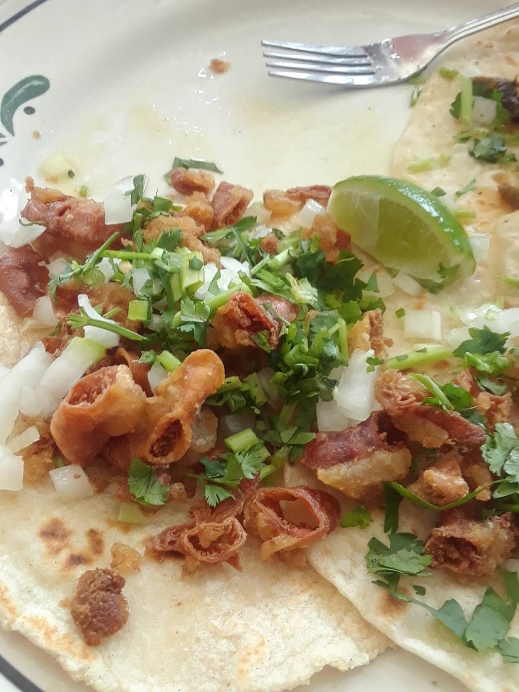 Abasolo Restaurant | restaurant | 1822 N Main St, Houston, TX 77009, USA | 7132283344 OR +1 713-228-3344