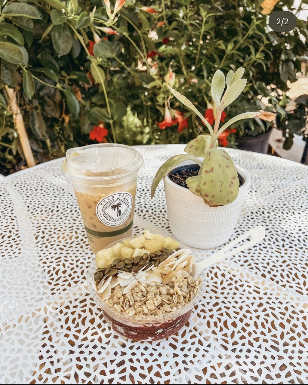 Bear Fruit Bowls and Coffee | restaurant | 260 S Tarragona St, Pensacola, FL 32502, USA | 8509129799 OR +1 850-912-9799