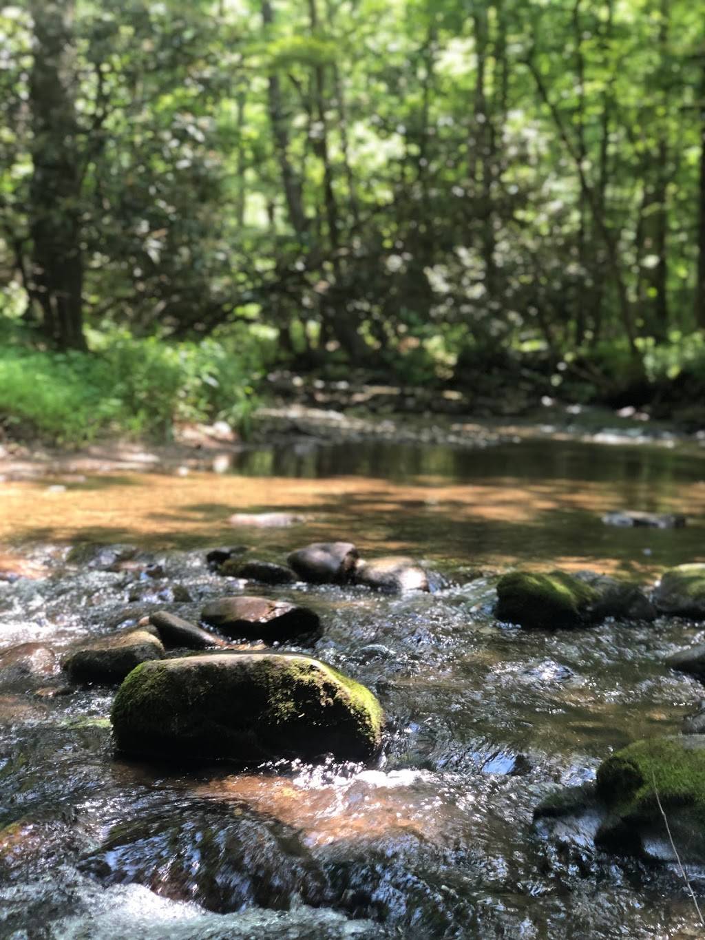 Cades Cove Campground Store and Bike Rental | restaurant | 10035 Campground Dr, Townsend, TN 37882, USA | 8654489034 OR +1 865-448-9034