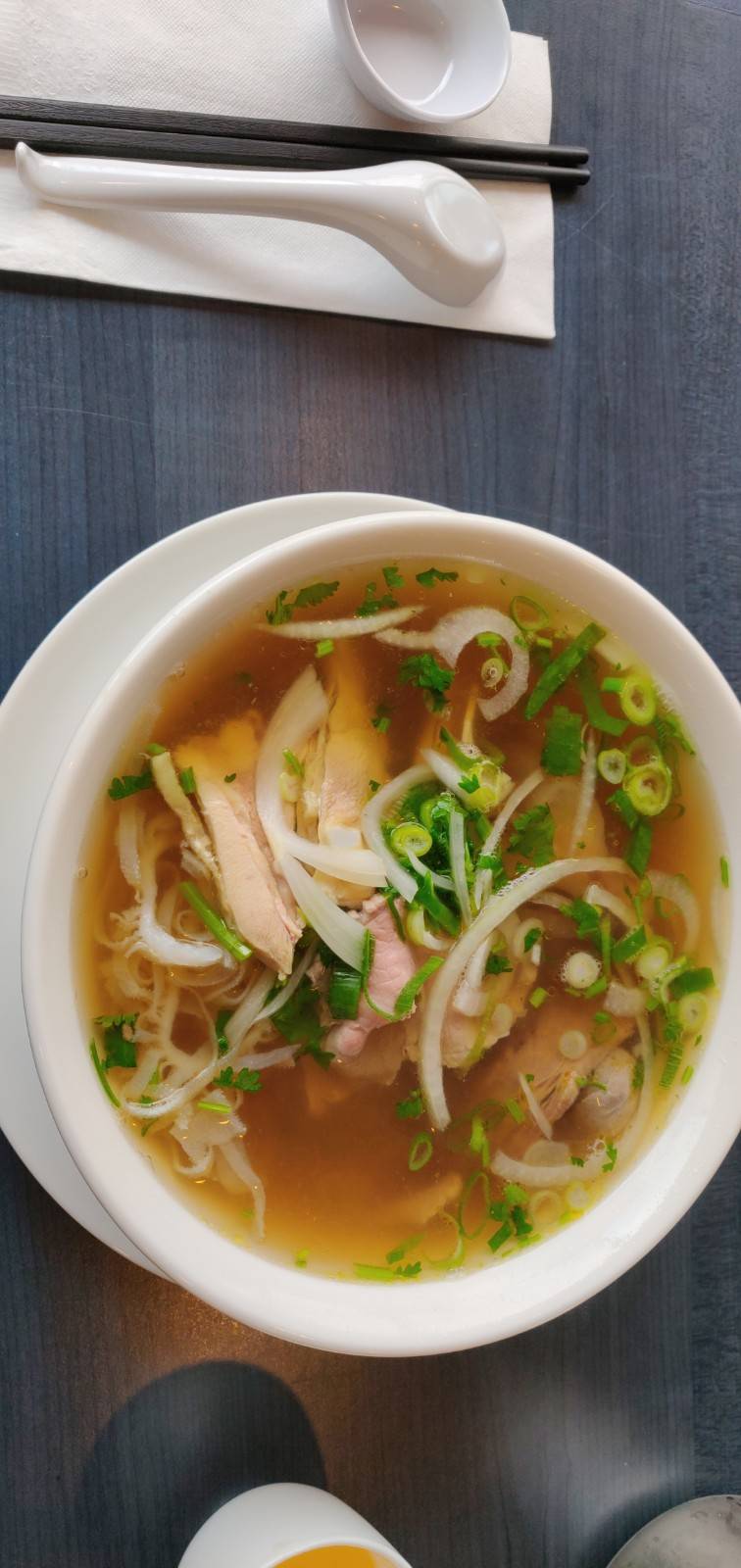 Pho Delicious | restaurant | 2780 Hwy 7 Unit 105, Concord, ON L4K 3R9, Canada | 9056698868 OR +1 905-669-8868