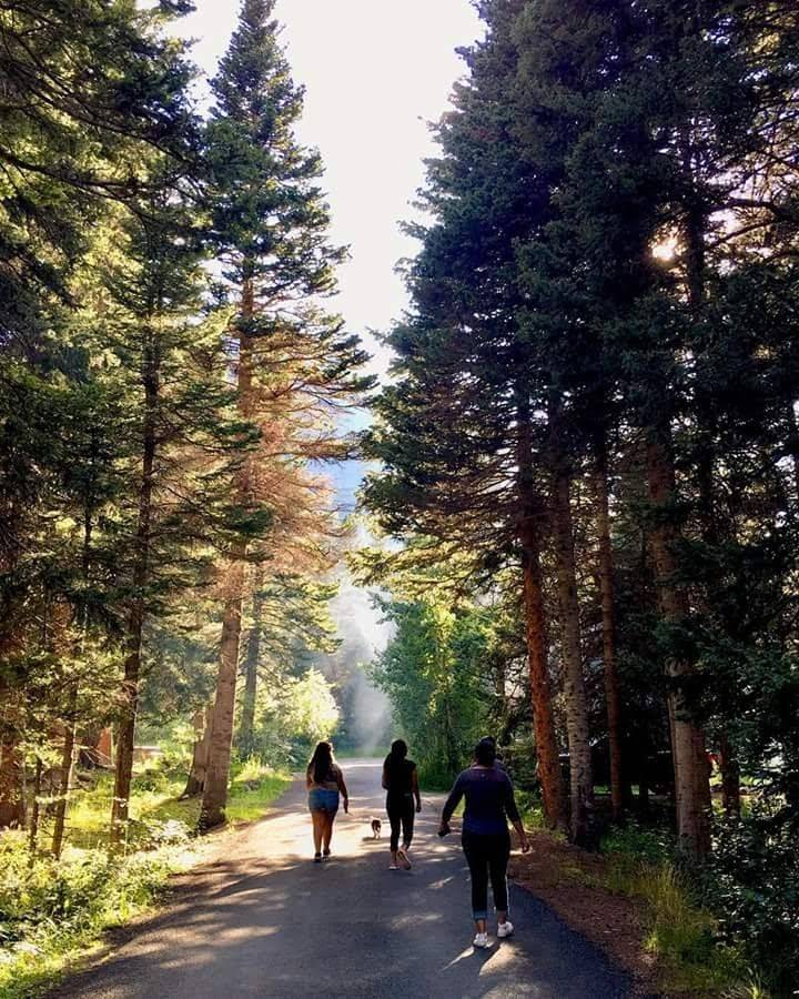 Las Americas Tortiller | restaurant | 1277 Fall River Cir, Longmont, CO 80504, USA | 3036510830 OR +1 303-651-0830