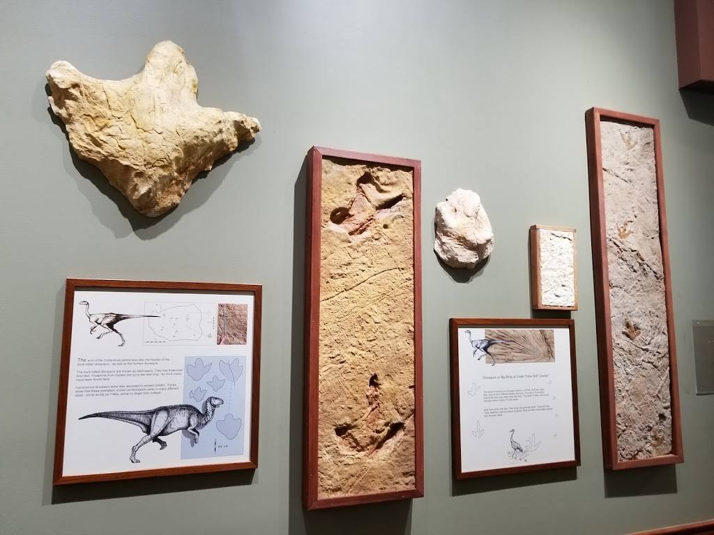 Schnepfs Restaurant | restaurant | 3050 Illinois St, Golden, CO 80401, USA | 3032778755 OR +1 303-277-8755