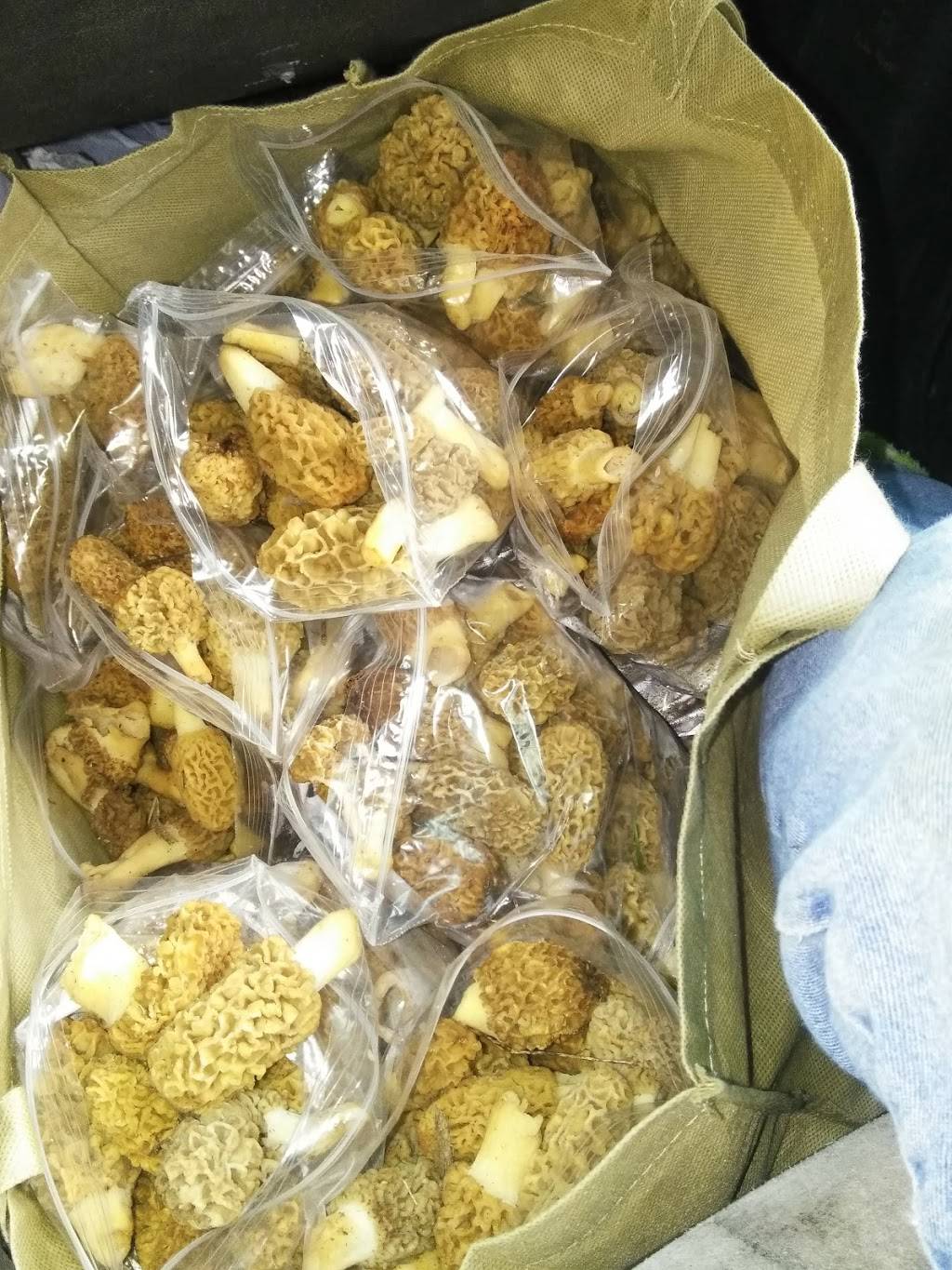 Little Caesars Pizza | meal takeaway | 2120 Mitchell Ave, St Joseph, MO 64507, USA | 8162798500 OR +1 816-279-8500