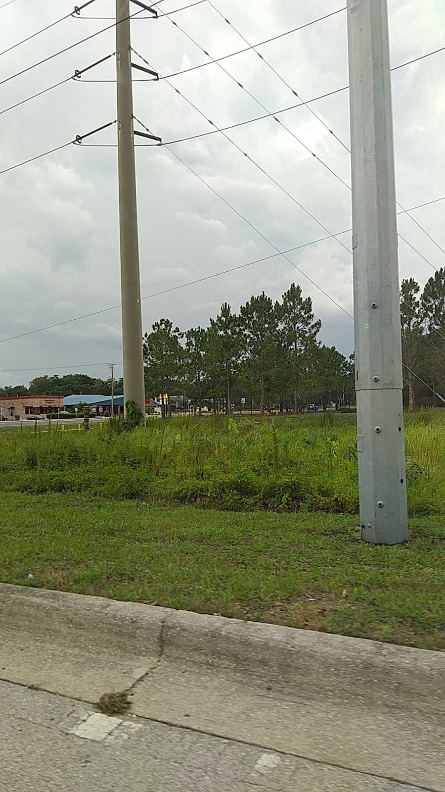 Arbys | restaurant | 10059 US-301, Riverview, FL 33578, USA | 8135156440 OR +1 813-515-6440