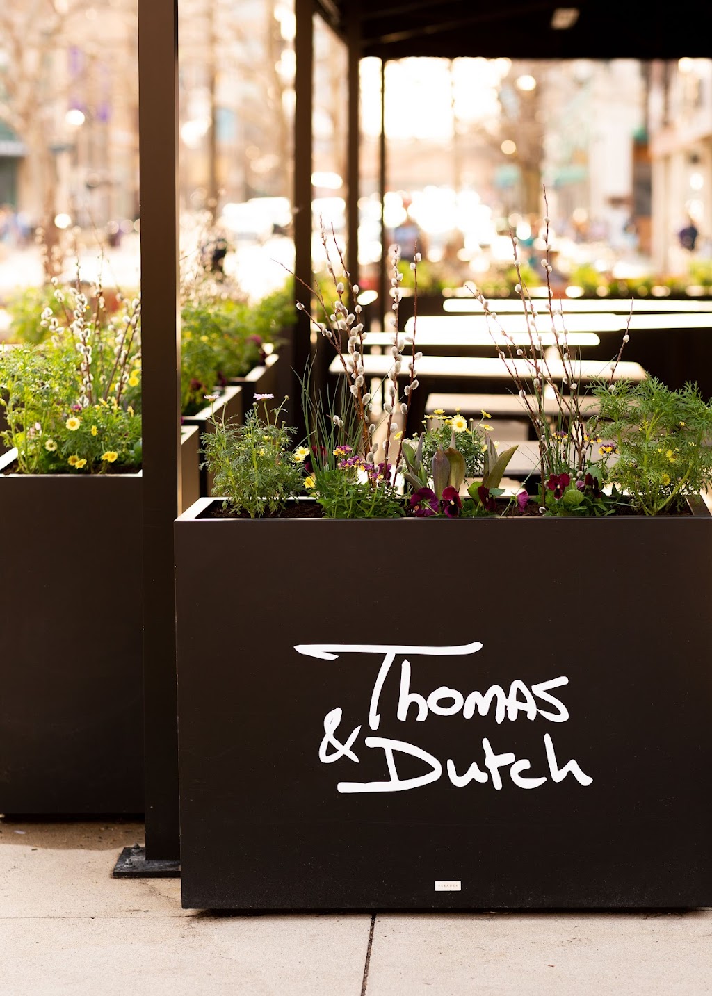Thomas & Dutch | restaurant | 703 Church St, Evanston, IL 60201, USA | 8474929700 OR +1 847-492-9700