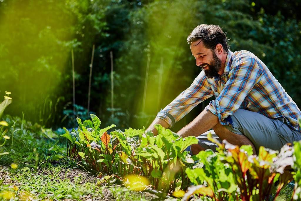 Topsoil Kitchen & Market | restaurant | 13 S Main St, Travelers Rest, SC 29690, USA | 8646102281 OR +1 864-610-2281