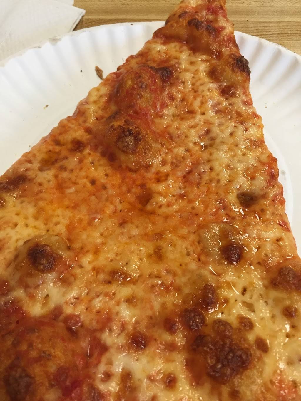 Domenicks Pizzeria | restaurant | 1015 Allerton Ave, Bronx, NY 10469, USA | 7185476171 OR +1 718-547-6171