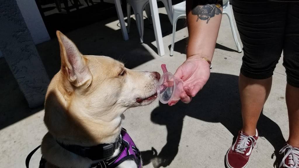 Lucky Dog Cafe | cafe | 2139 Tapo St #113, Simi Valley, CA 93063, USA | 8056084179 OR +1 805-608-4179