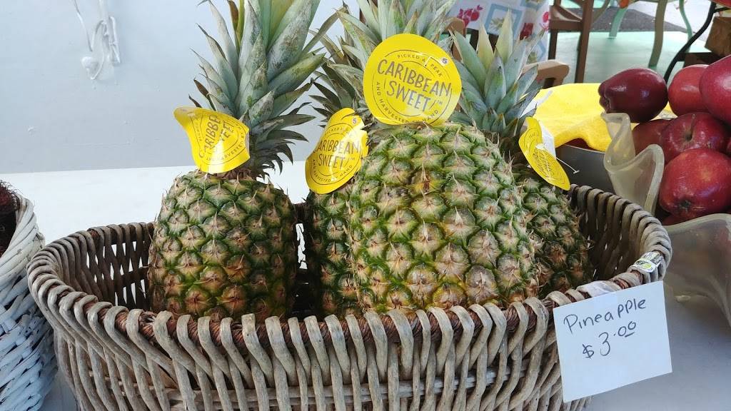 Dollys Produce Patch and Eatery | restaurant | 9930 Bonita Beach Rd SE, Bonita Springs, FL 34135, USA | 2399928939 OR +1 239-992-8939