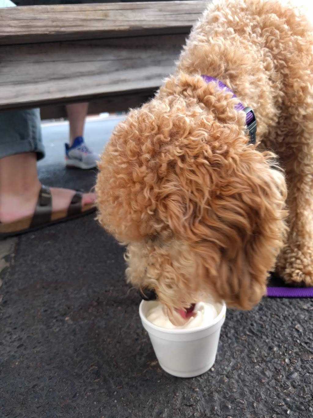 The Freeze | restaurant | 131 Hawley St, Grayslake, IL 60030, USA | 8472232262 OR +1 847-223-2262