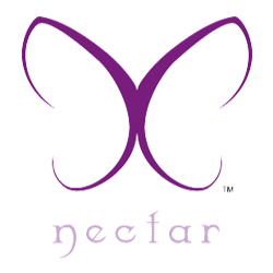 Nectar (in Seminole Casino Coconut Creek) | night club | 5550 NW 40th St, Coconut Creek, FL 33073, USA | 9549776700 OR +1 954-977-6700