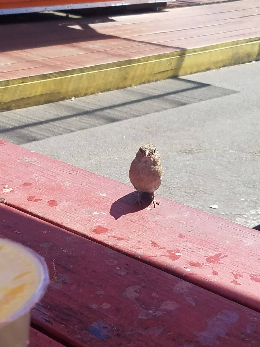 Thai Garden | restaurant | SE 102nd Ave, Portland, OR 97216, USA | 5038875935 OR +1 503-887-5935