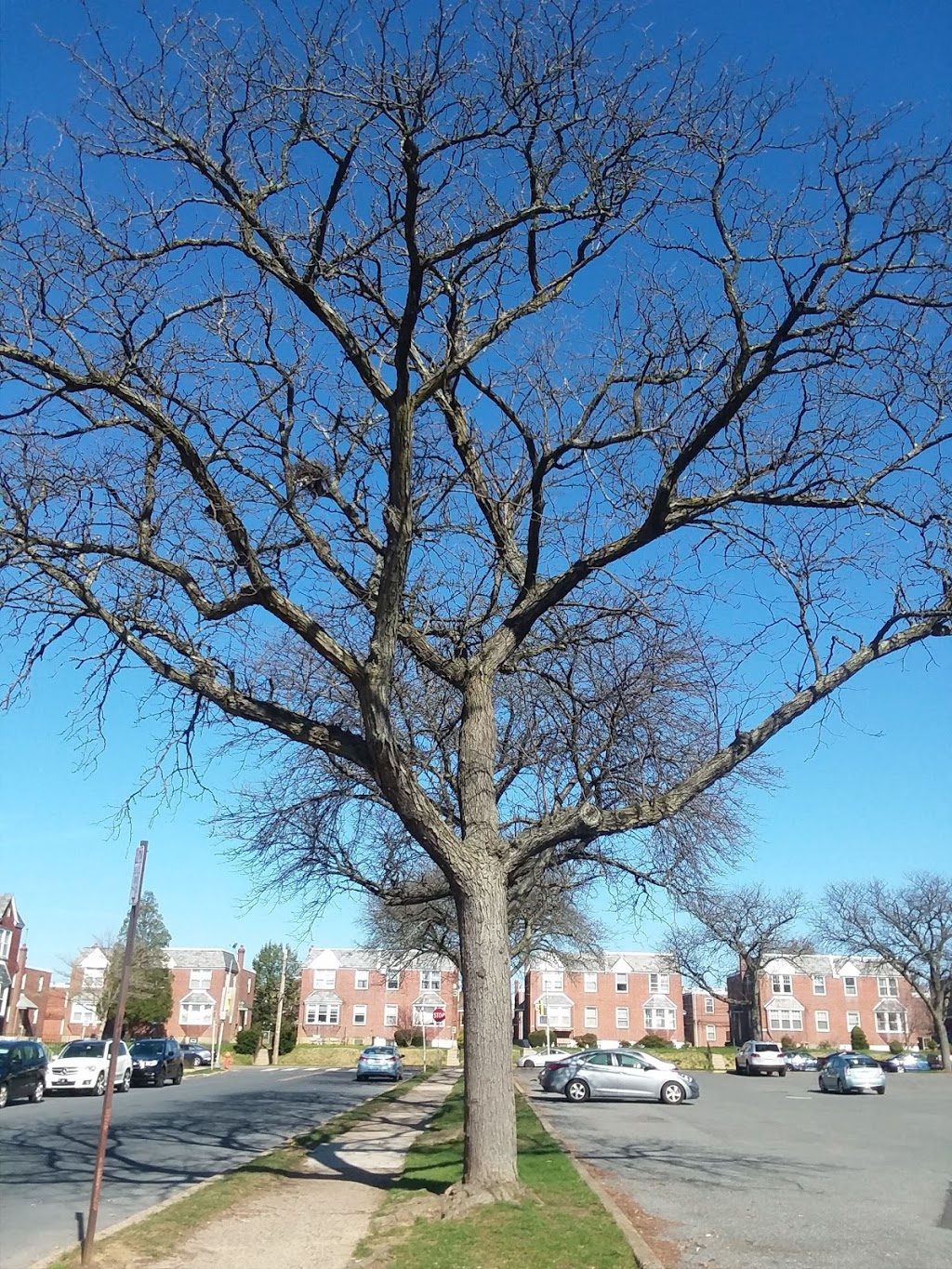 7-Eleven - Closed | bakery | 2900 Cottman Ave, Philadelphia, PA 19149, USA | 2153336710 OR +1 215-333-6710