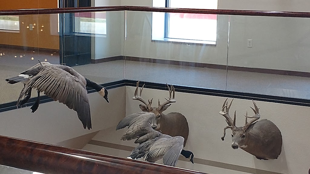 Shell | restaurant | 1001 Eagle Eye Highway 40, Oakley, KS 67748, USA | 7856723062 OR +1 785-672-3062