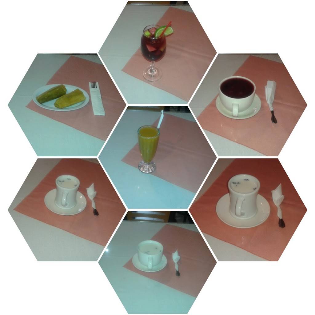 Malecon | restaurant | 10014 Northern Blvd, Corona, NY 11368, USA | 7184464622 OR +1 718-446-4622