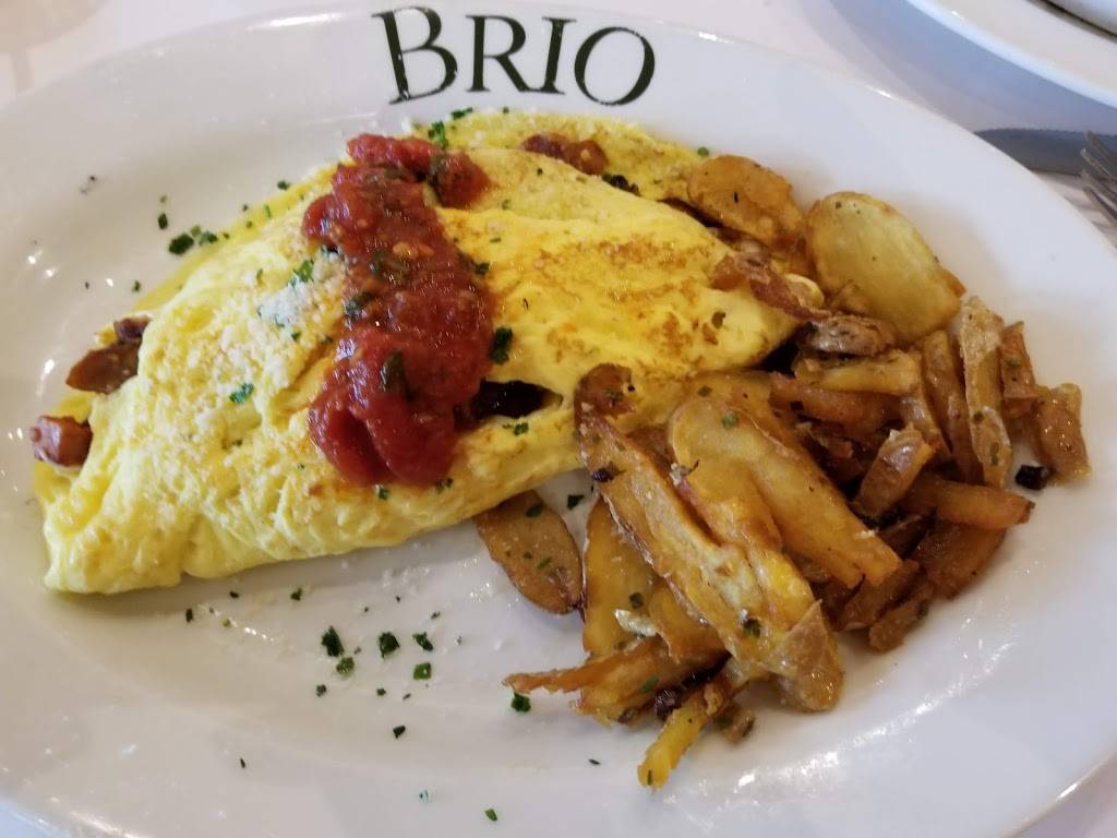Brio Italian Grille | restaurant | 4200 Conroy Rd, Orlando, FL 32839, USA | 4073518909 OR +1 407-351-8909