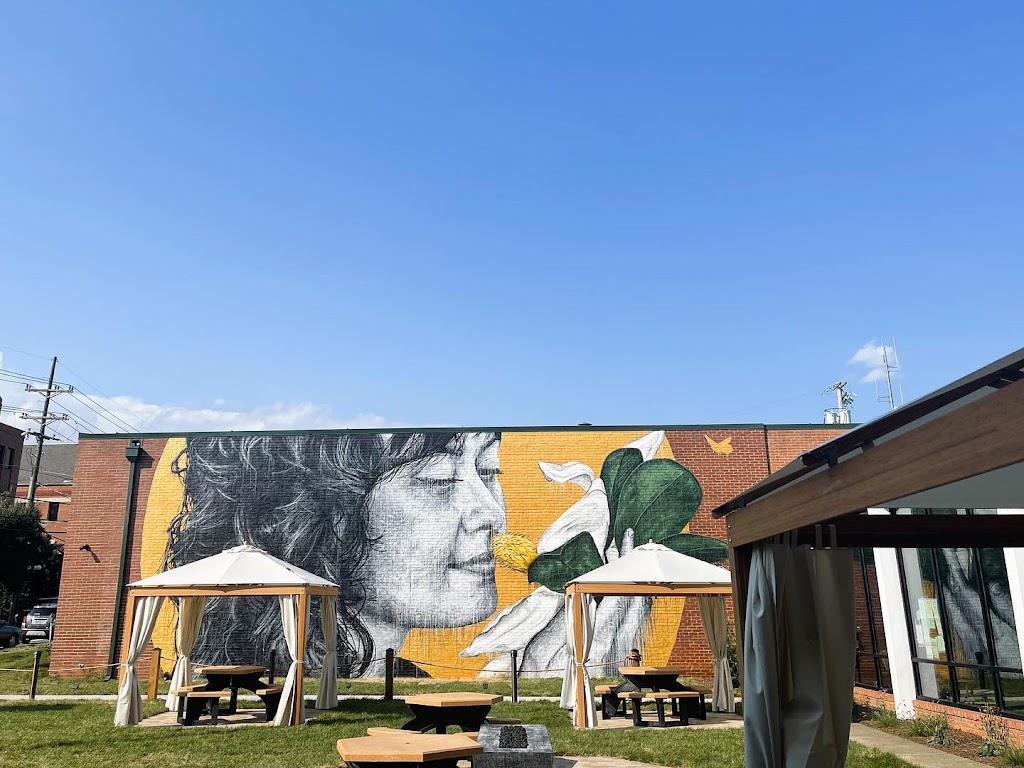 Vibrissa Beer | restaurant | 10 N Kent St, Winchester, VA 22601, USA | 5403134551 OR +1 540-313-4551