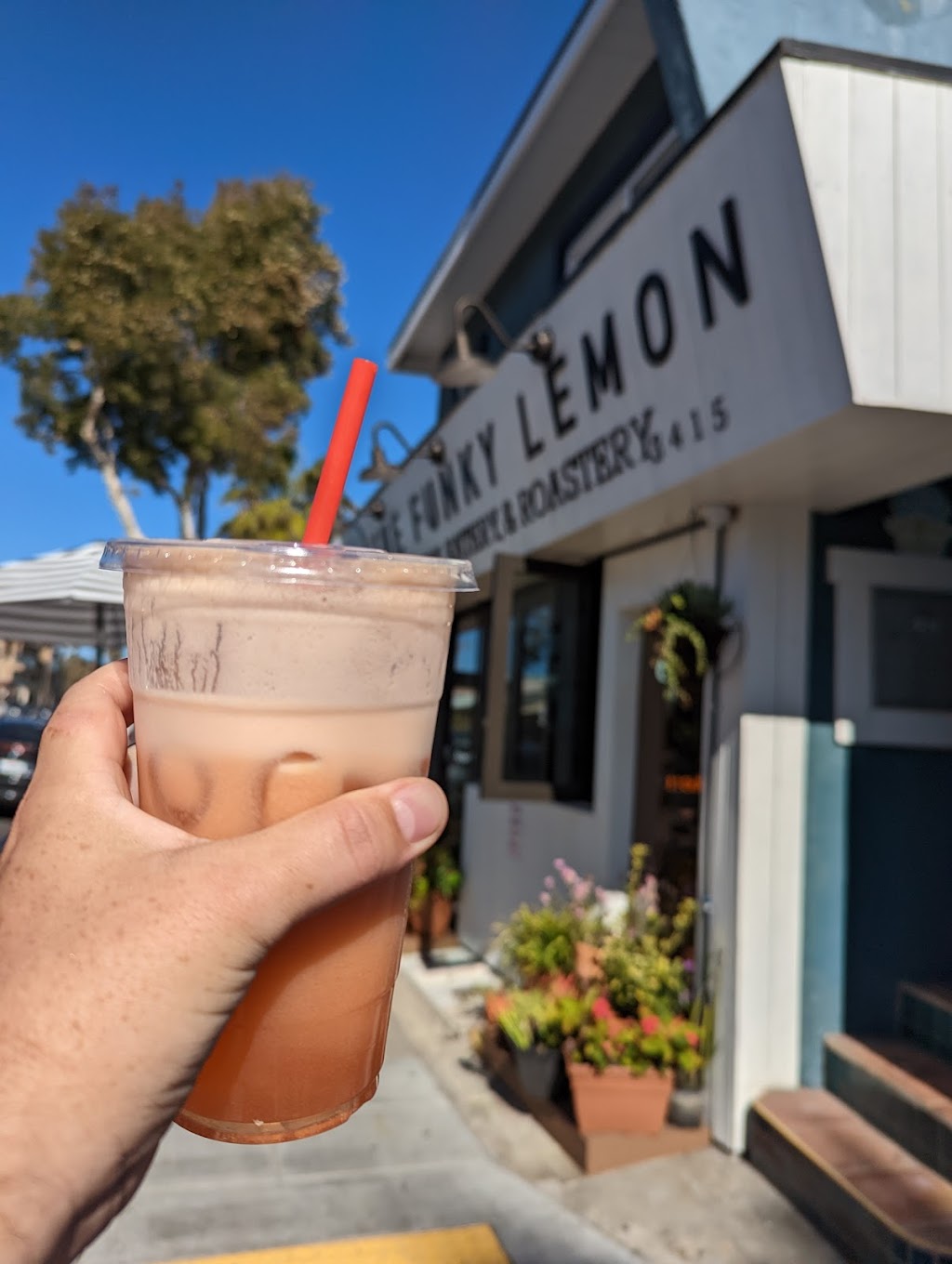 The Funky Lemon | restaurant | 3415 Mission Blvd, San Diego, CA 92109, USA | 6194006032 OR +1 619-400-6032