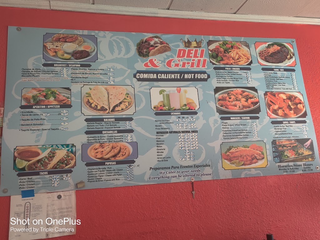 EL Salvador Deli & Grill INC. | restaurant | 755 Old Country Rd, Westbury, NY 11590, USA | 5166607626 OR +1 516-660-7626