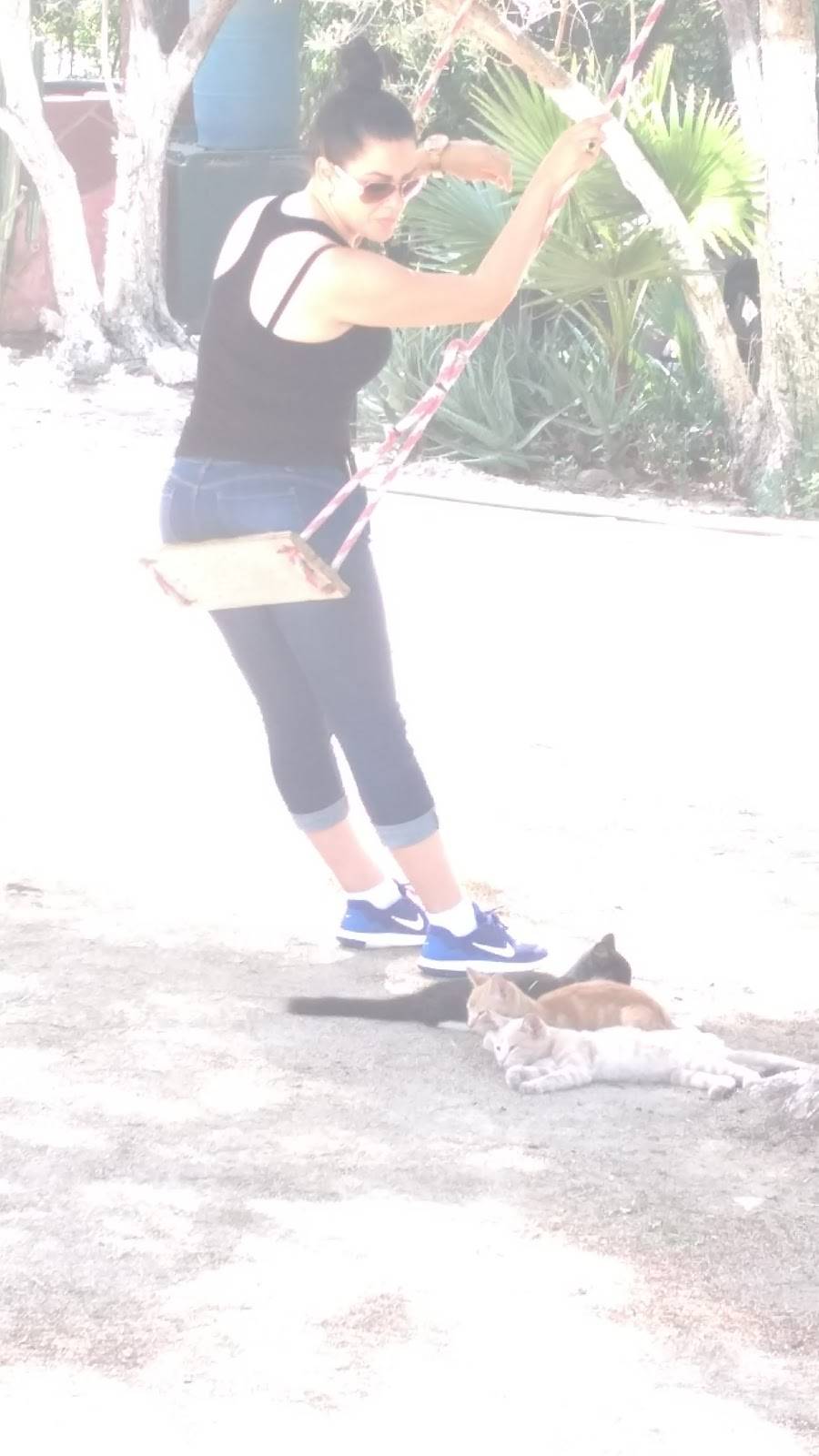 BARBACO TULANCINGO | restaurant | Tecate - Tijuana, Quintas Campestres El Florido, Seco, B.C., Mexico | 016642500634 OR +52 664 250 0634