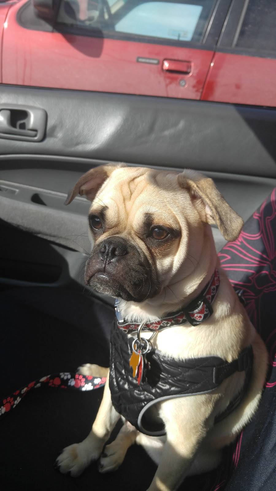 Overtime Bar and Grill | meal takeaway | 3754 Hamilton Cleves Rd, Hamilton, OH 45013, USA | 5137383111 OR +1 513-738-3111