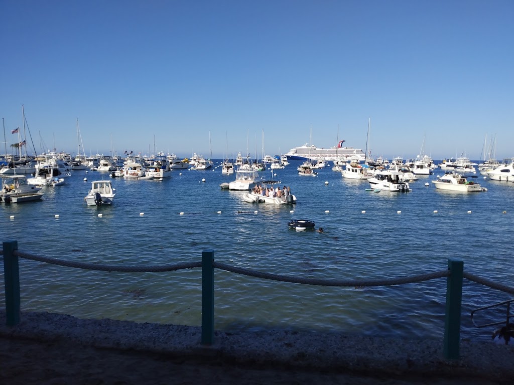 Bluewater Avalon | restaurant | 306 Crescent Ave, Avalon, CA 90704, USA | 3105103474 OR +1 310-510-3474