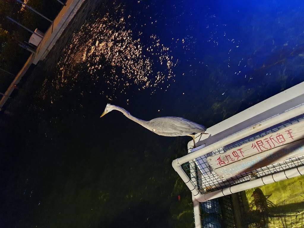 Notredame Restaurant | restaurant | 4859 N Dixie Hwy, Pompano Beach, FL 33064, USA | 9544214777 OR +1 954-421-4777