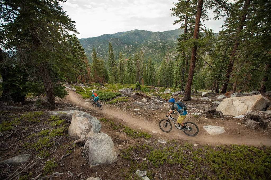 Over The Edge: Coffee Bikes Beer | cafe | 3665 Tamarack Ave, South Lake Tahoe, CA 96150, USA | 5306003633 OR +1 530-600-3633