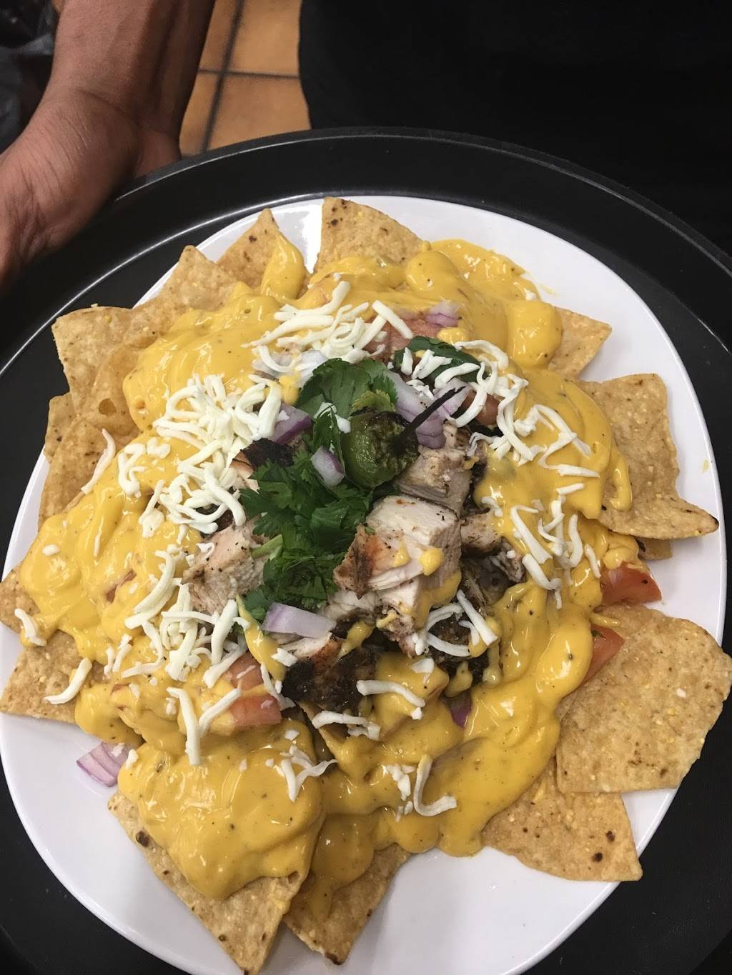 Safari Lounge & Ethiopian Cuisine | restaurant | 7124 N Clark St, Chicago, IL 60626, USA | 7738560803 OR +1 773-856-0803