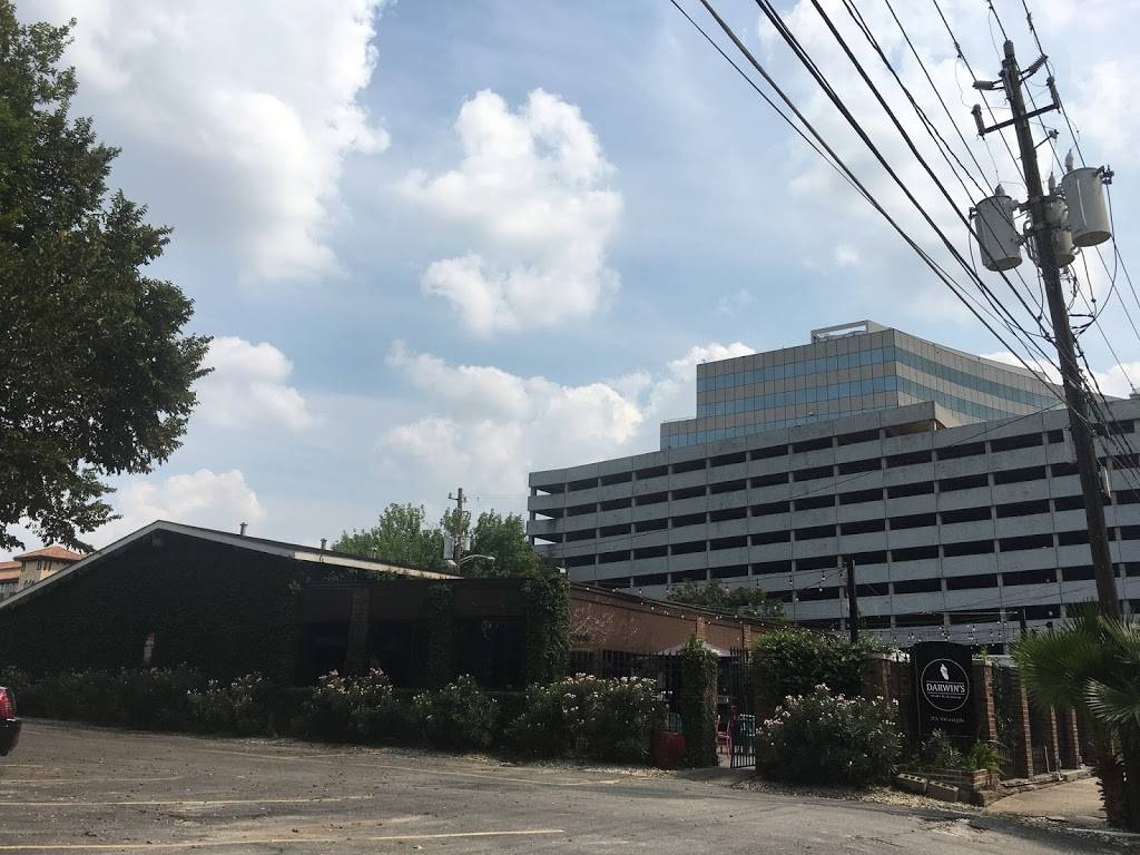 Darwins Pub | restaurant | 33 Waugh Dr, Houston, TX 77007, USA | 8329402420 OR +1 832-940-2420