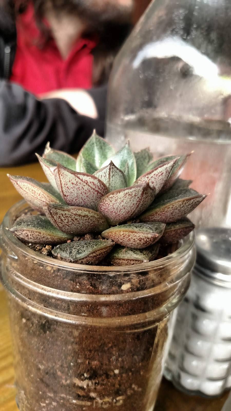 Mudhen Meat and Greens | restaurant | 900 S Harwood St, Dallas, TX 75201, USA | 2146987000 OR +1 214-698-7000