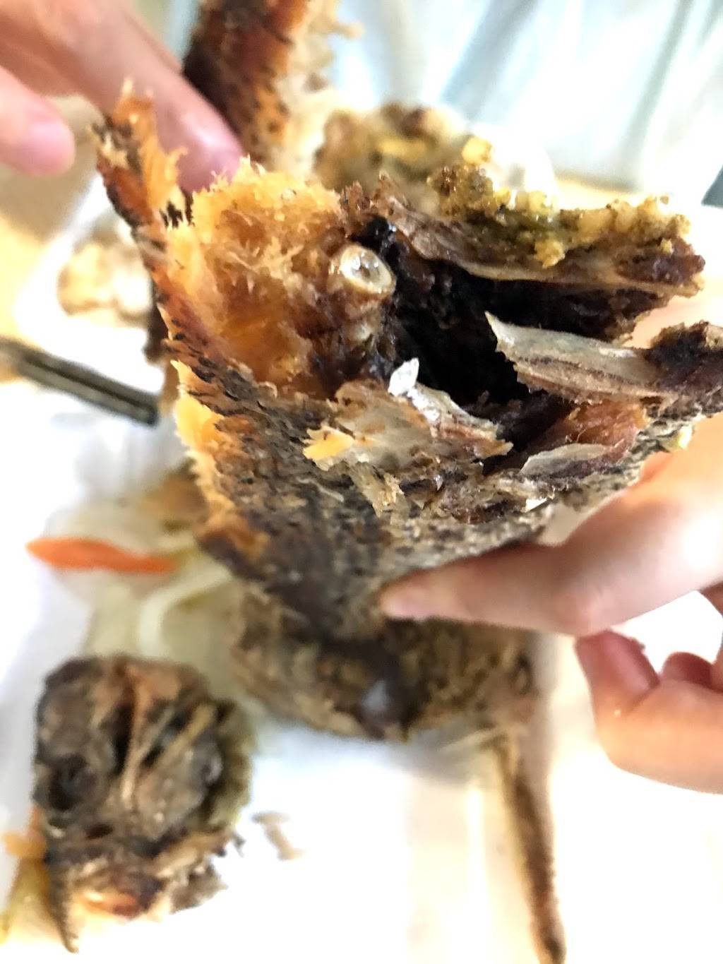 Fishermans Cove | restaurant | 542 Nostrand Ave., Brooklyn, NY 11216, USA | 9179052915 OR +1 917-905-2915