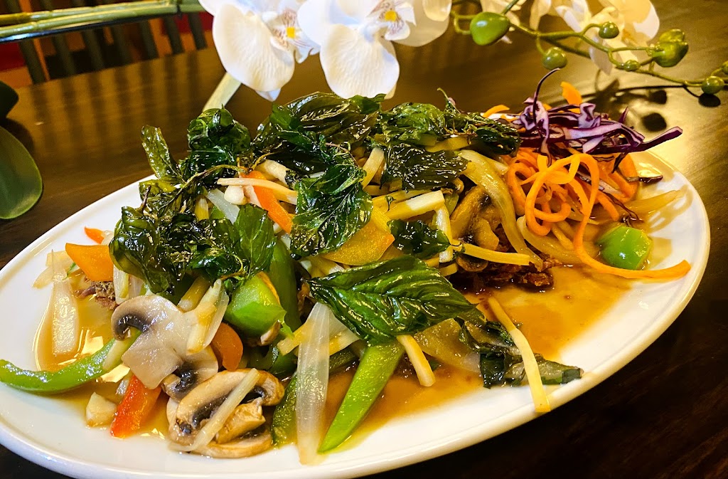 Pinto Thai Restaurant | restaurant | 4205 S MacDill Ave Suite F,G, Tampa, FL 33611, USA | 8133745378 OR +1 813-374-5378