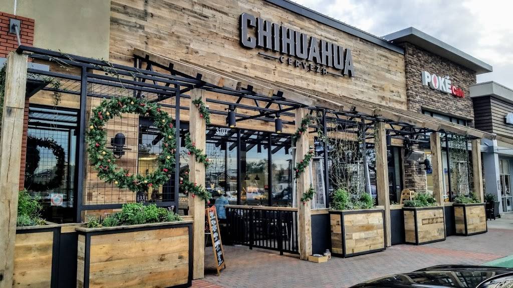 Chihuahua Cerveza | restaurant | 3107 Newport Blvd, Newport Beach, CA 92663, USA | 9497718226 OR +1 949-771-8226