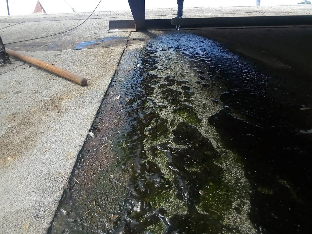 El Toro Tortillaria | restaurant | 4507 E Tulare Ave, Fresno, CA 93702, USA | 5592531200 OR +1 559-253-1200