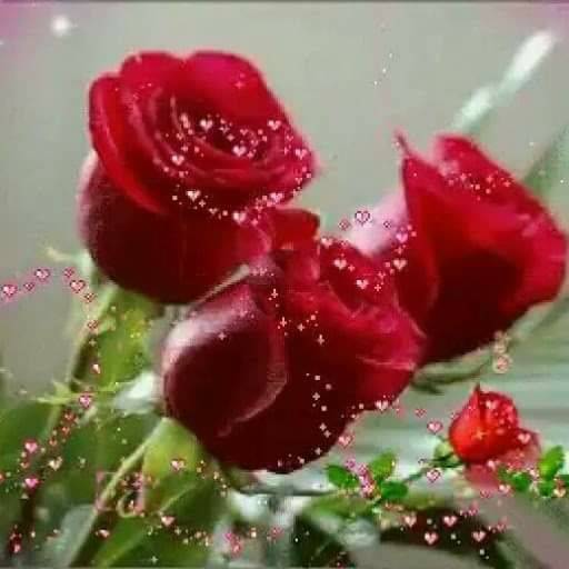 Food King | restaurant | 9202 Avenue L #A, Brooklyn, NY 11236, USA | 7185313260 OR +1 718-531-3260