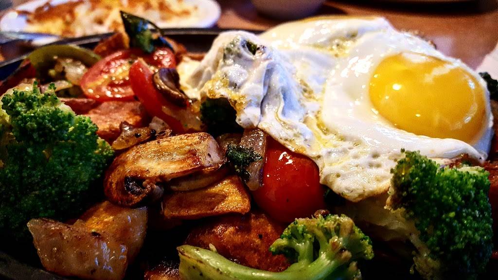 Dennys | restaurant | 1700 E Fowler Ave, Tampa, FL 33612, USA | 8139719441 OR +1 813-971-9441