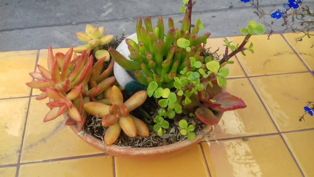 Fonda La Finca | restaurant | José María Velazco 2680, Zona Urbana Rio Tijuana, 22010 Tijuana, B.C., Mexico | 016646342931 OR +52 664 634 2931