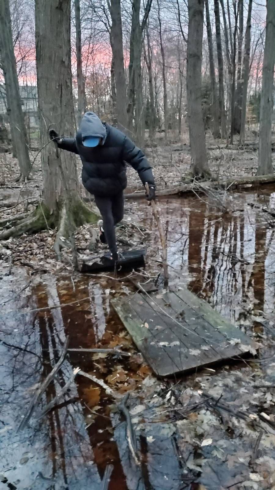 Gamer Gate 2 | restaurant | 3805 Stoney Creek Rd, Oakland Charter Township, MI 48363, USA | 2483900872 OR +1 248-390-0872