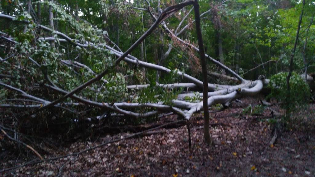 County Line | night club | 15580 Rittman Rd, Rittman, OH 44270, USA | 3304854803 OR +1 330-485-4803