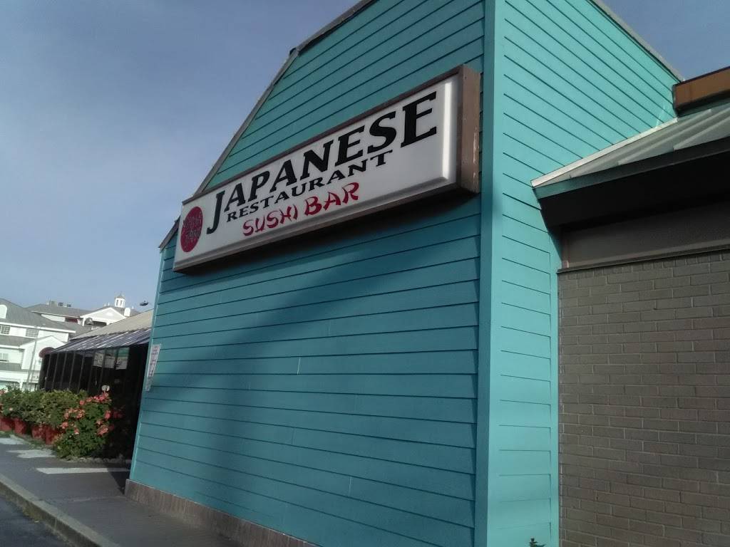 Yama-Taiyo Japanese Cuisine | restaurant | 660 Alderman Rd, Palm Harbor, FL 34683, USA | 7277853350 OR +1 727-785-3350