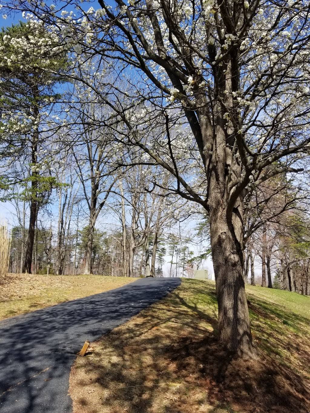 The Waterfront Country Club | restaurant | 275 Anchor Dr, Moneta, VA 24121, USA | 5407212397 OR +1 540-721-2397